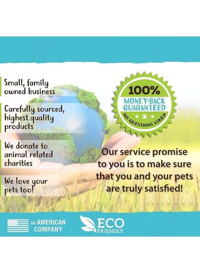 MOWKIT Paws Grooming Brush, 1 ct - Hand-Held Rubber Tipped Pin Brush for Dogs & Cats - Deshedding Dogs with Short Hair & Long Hair - Dog Grooming - Image 5